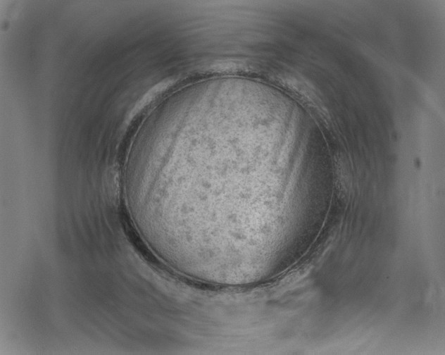 X0000068900016200605081357