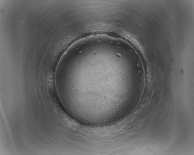 X0000068900017200605081357