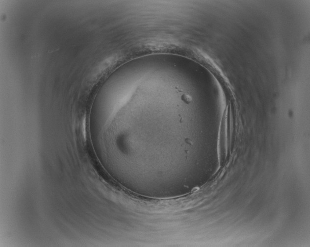 X0000068900019200605081357