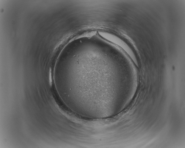 X0000068900020200605081357