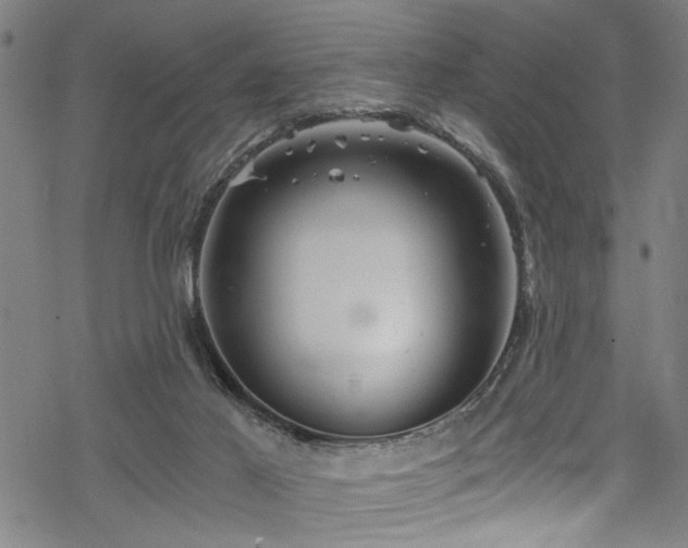 X0000068900021200605081357