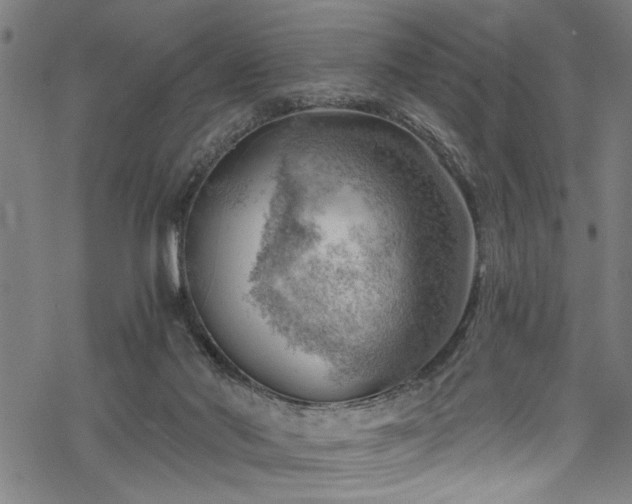 X0000068900022200605081357