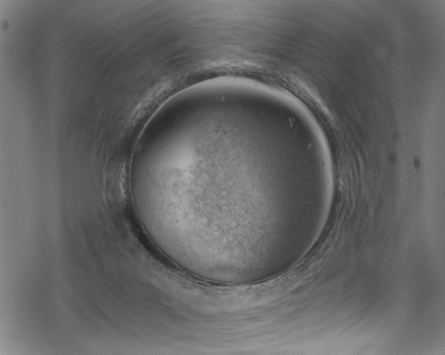 X0000068900023200605081357