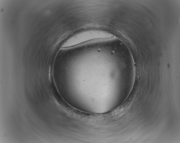 X0000068900024200605081357