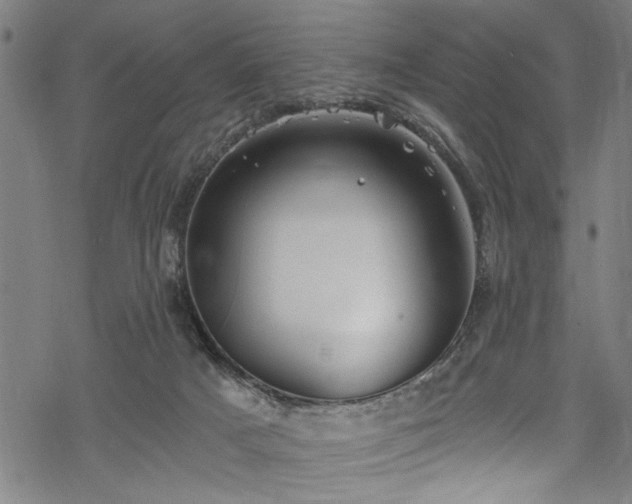 X0000068900025200605081357