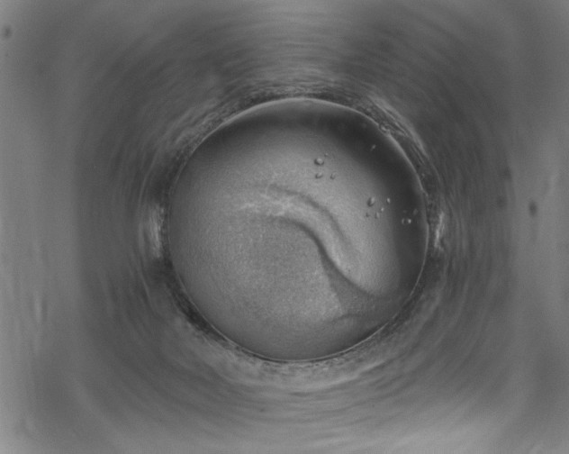 X0000068900026200605081357