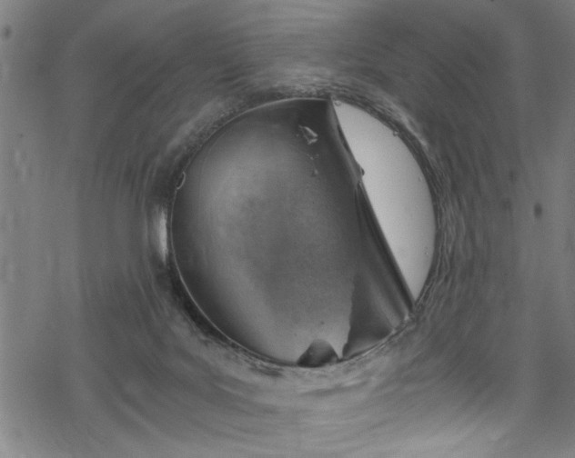 X0000068900027200605081357