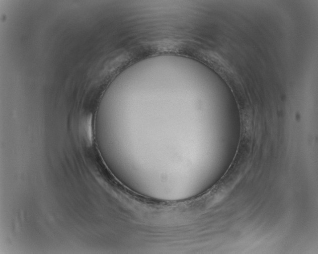 X0000068900028200605081357