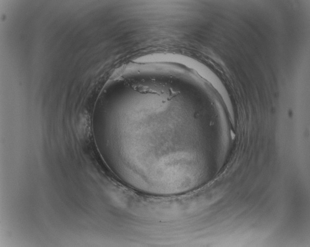 X0000068900029200605081357