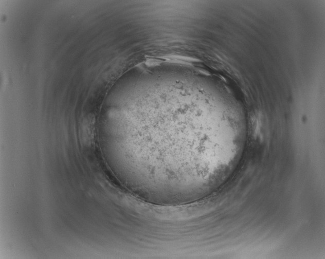 X0000068900030200605081357