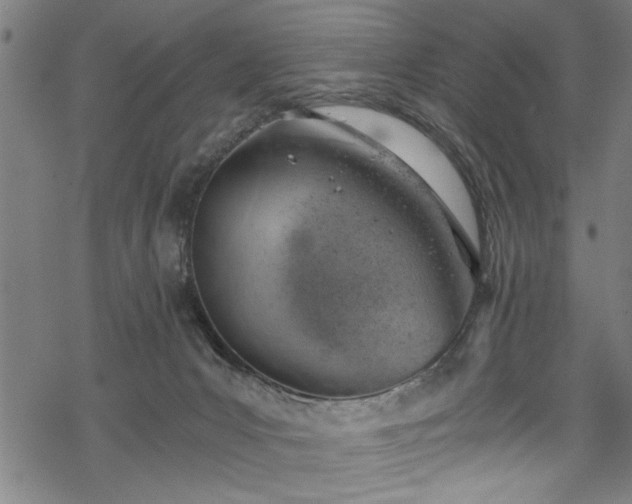 X0000068900031200605081357