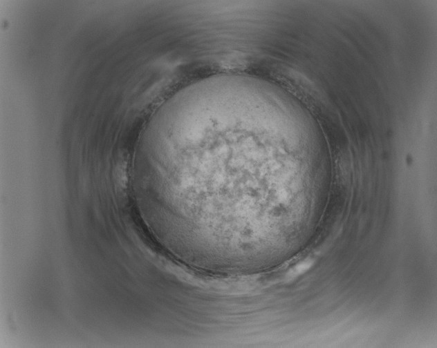 X0000068900032200605081357