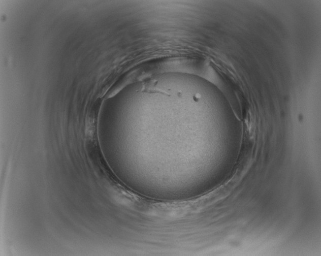 X0000068900033200605081357