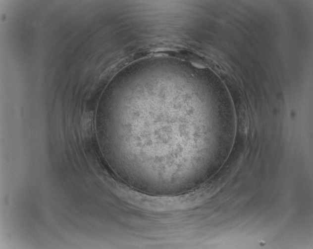 X0000068900034200605081357