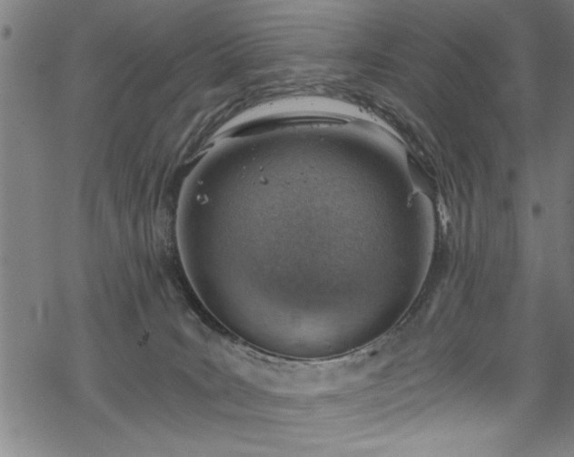 X0000068900035200605081357