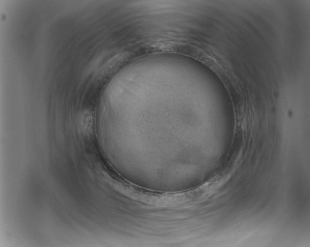 X0000068900036200605081357