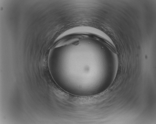 X0000068900037200605081357