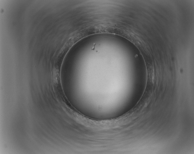 X0000068900038200605081357