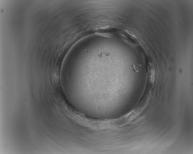 X0000068900040200605081356