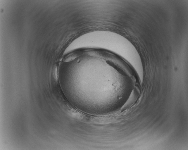 X0000068900041200605081356