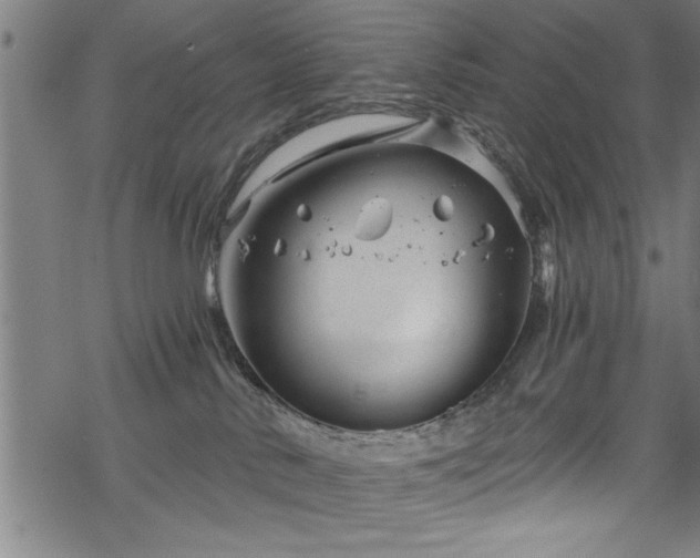 X0000068900042200605081356