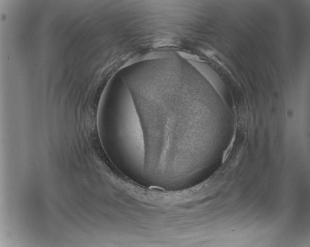 X0000068900043200605081356