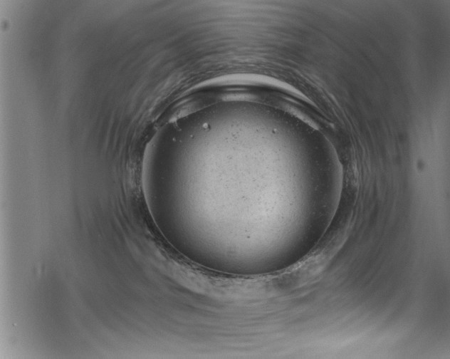 X0000068900044200605081356