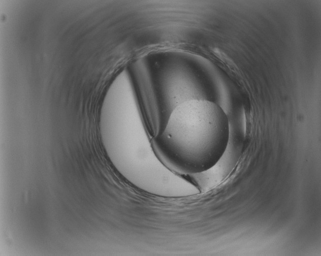 X0000068900045200605081356