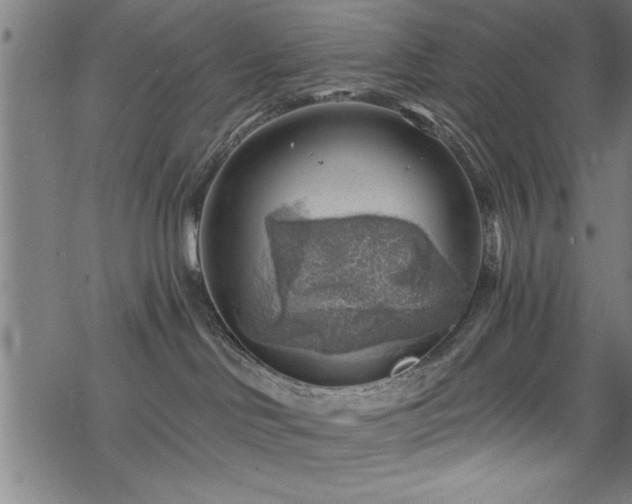 X0000068900046200605081356