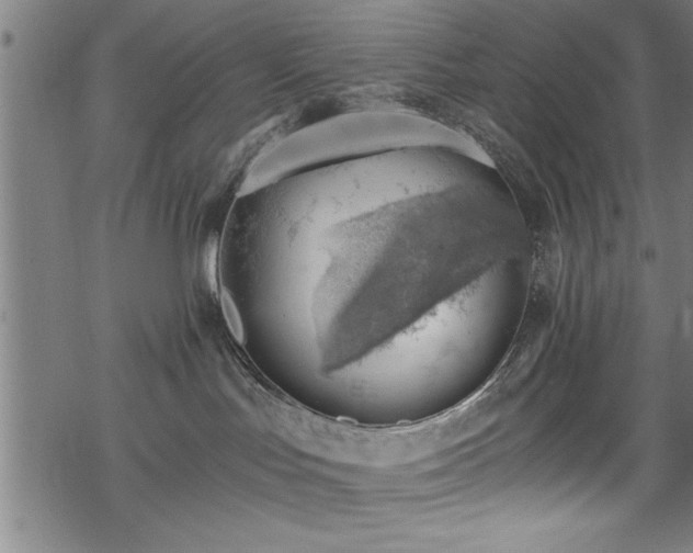 X0000068900047200605081356