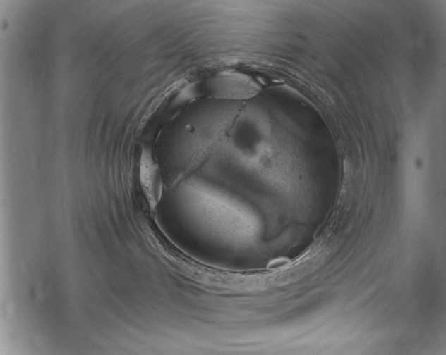 X0000068900048200605081356