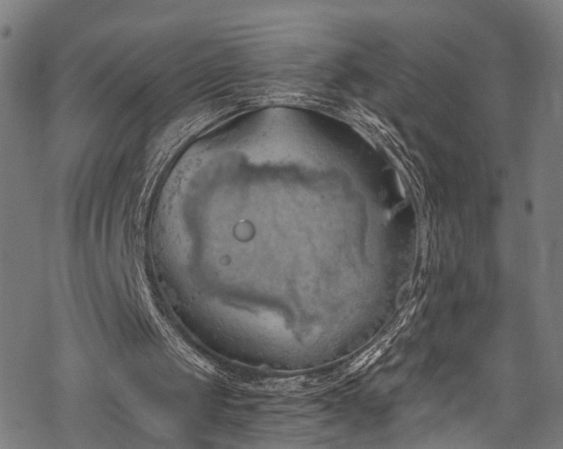 X0000068900049200605081355