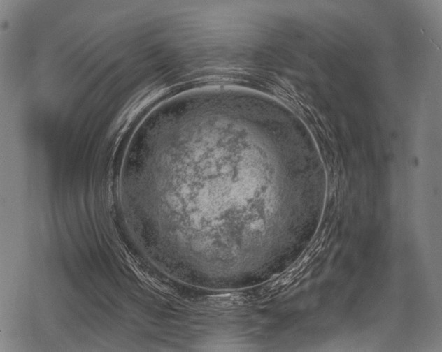 X0000068900050200605081356