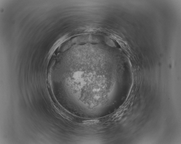 X0000068900051200605081356