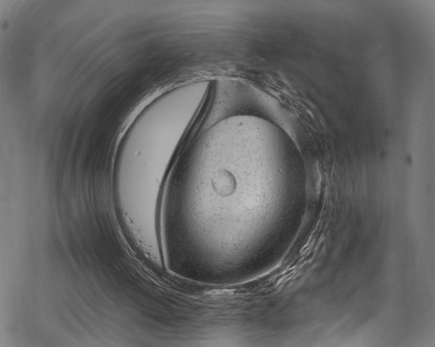 X0000068900052200605081356