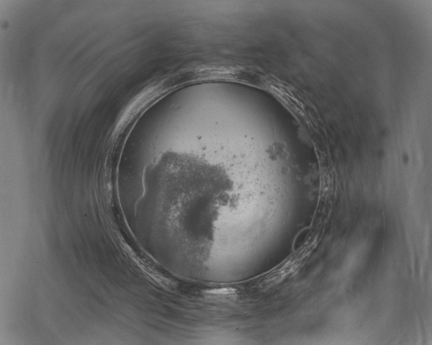 X0000068900053200605081356