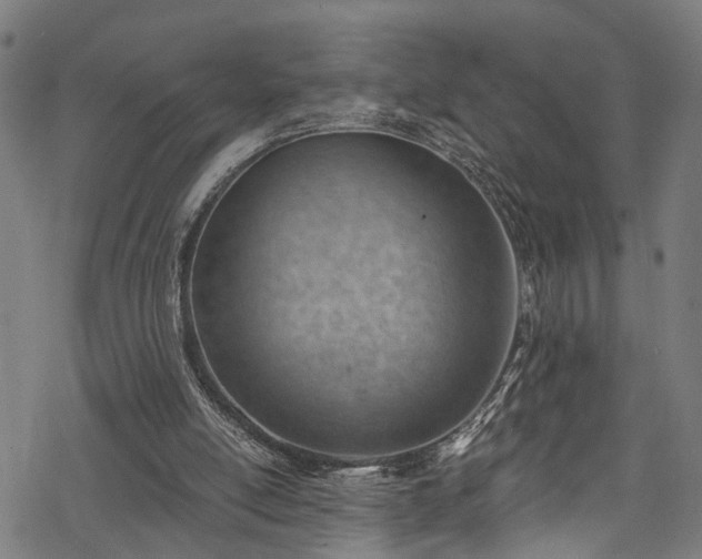 X0000068900054200605081356