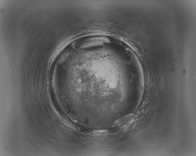 X0000068900055200605081356