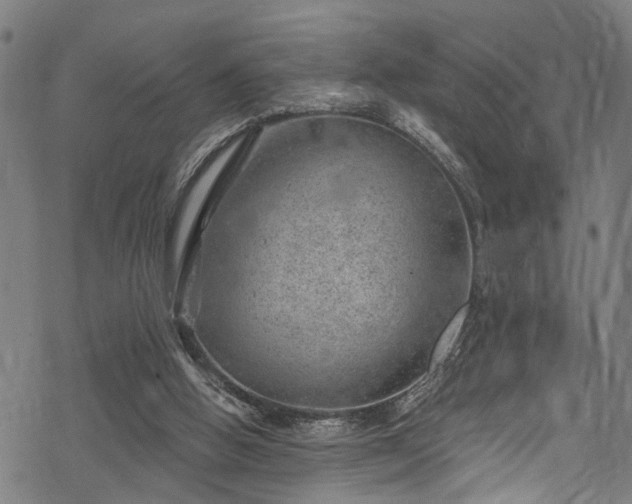 X0000068900058200605081356