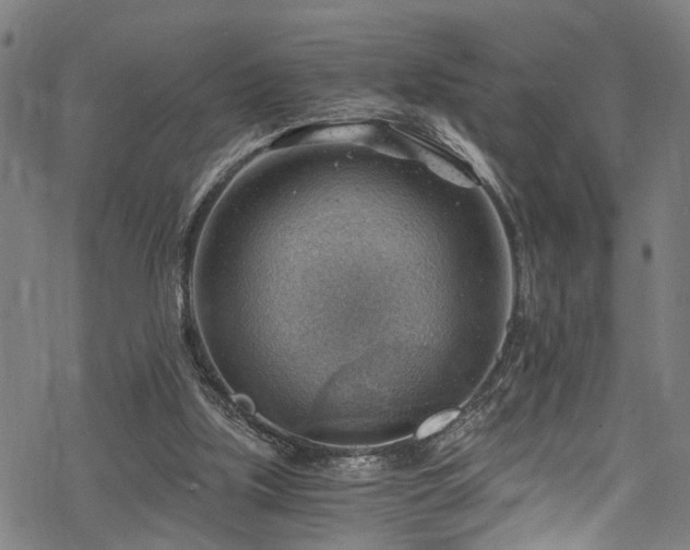 X0000068900059200605081356