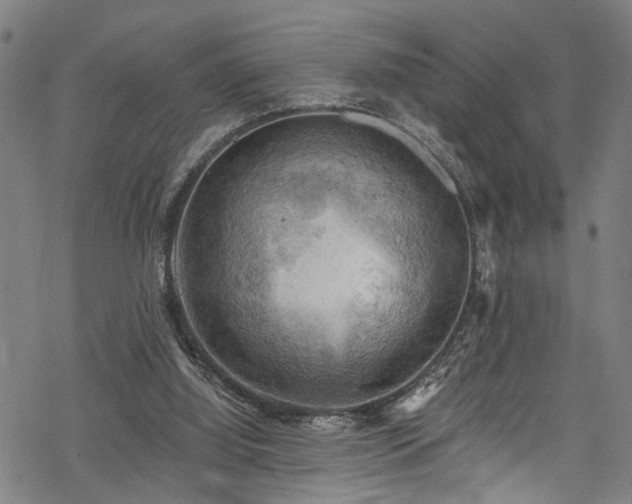 X0000068900060200605081356