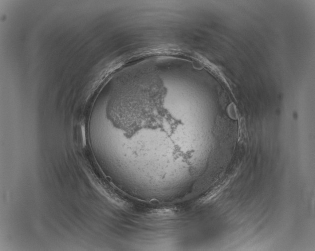 X0000068900061200605081356