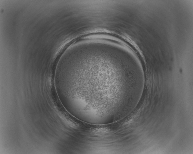 X0000068900063200605081356