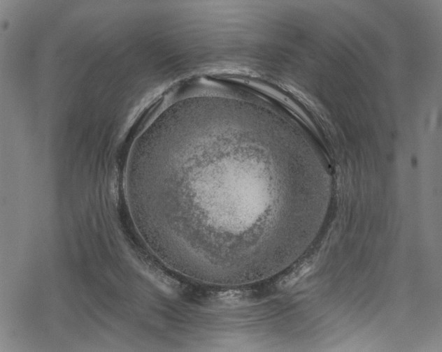 X0000068900064200605081356