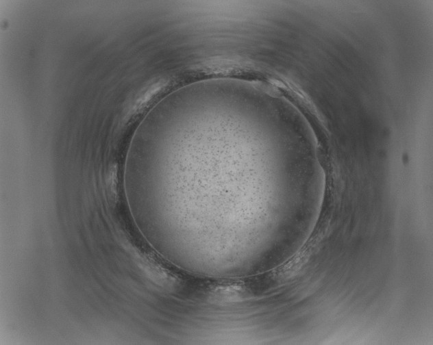 X0000068900066200605081356