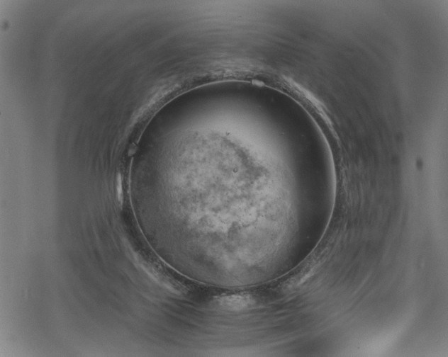 X0000068900067200605081356