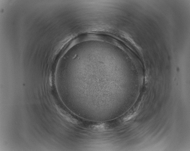 X0000068900068200605081356