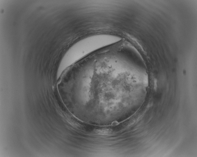 X0000068900069200605081356