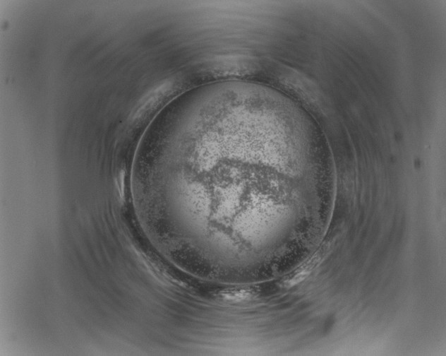 X0000068900070200605081356