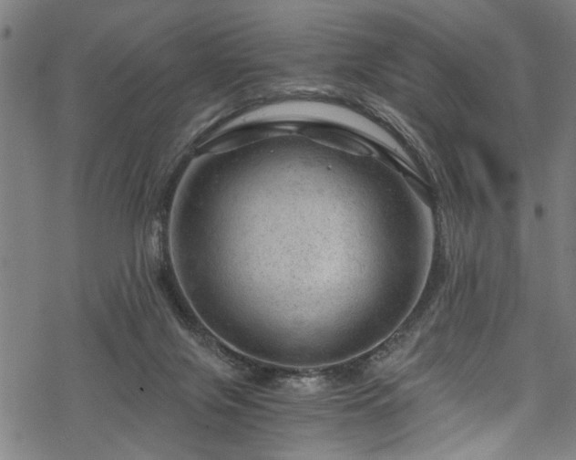 X0000068900071200605081356